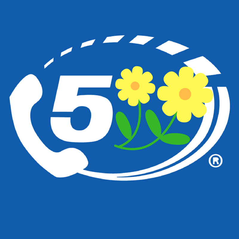 511 Logo