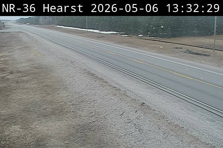 Highway 11 near Bannerman Road