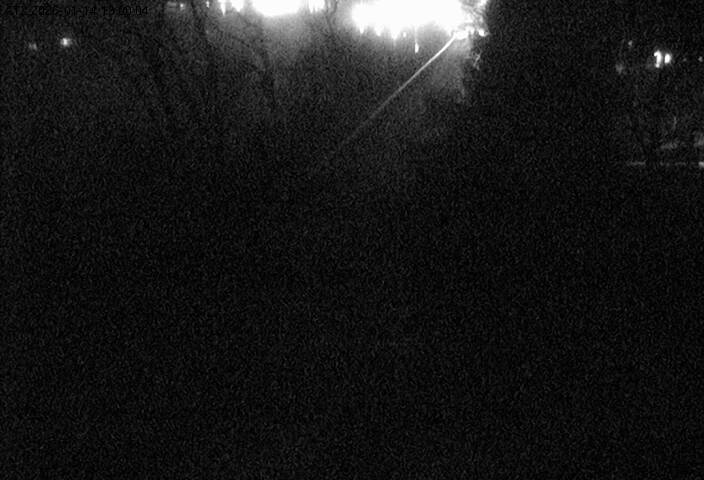 Highway 33 Approaching Ferry Dock #1 (Adolphustown Side)