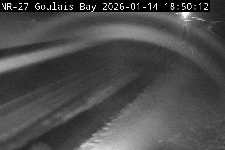 Highway 17 near Highway 556