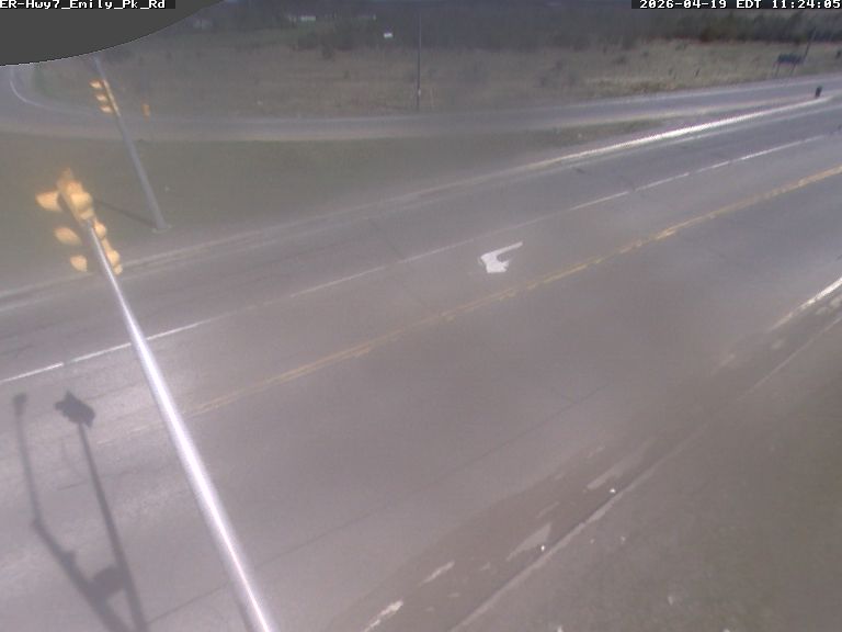 Highway 7 at Emily Park Road — Looking East