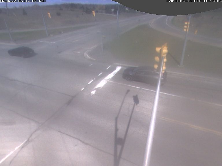 Highway 7 at Emily Park Road — Looking North