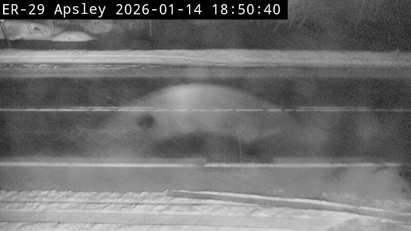 Highway 28 near McKay Lake Road