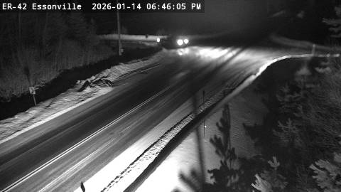 Highway 118 West of Essonville Line