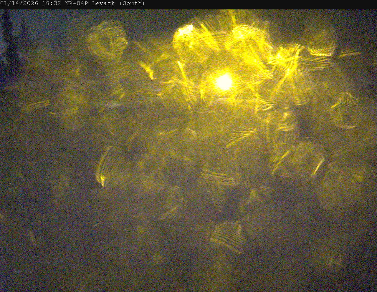 Highway 144 at Old Highway 144