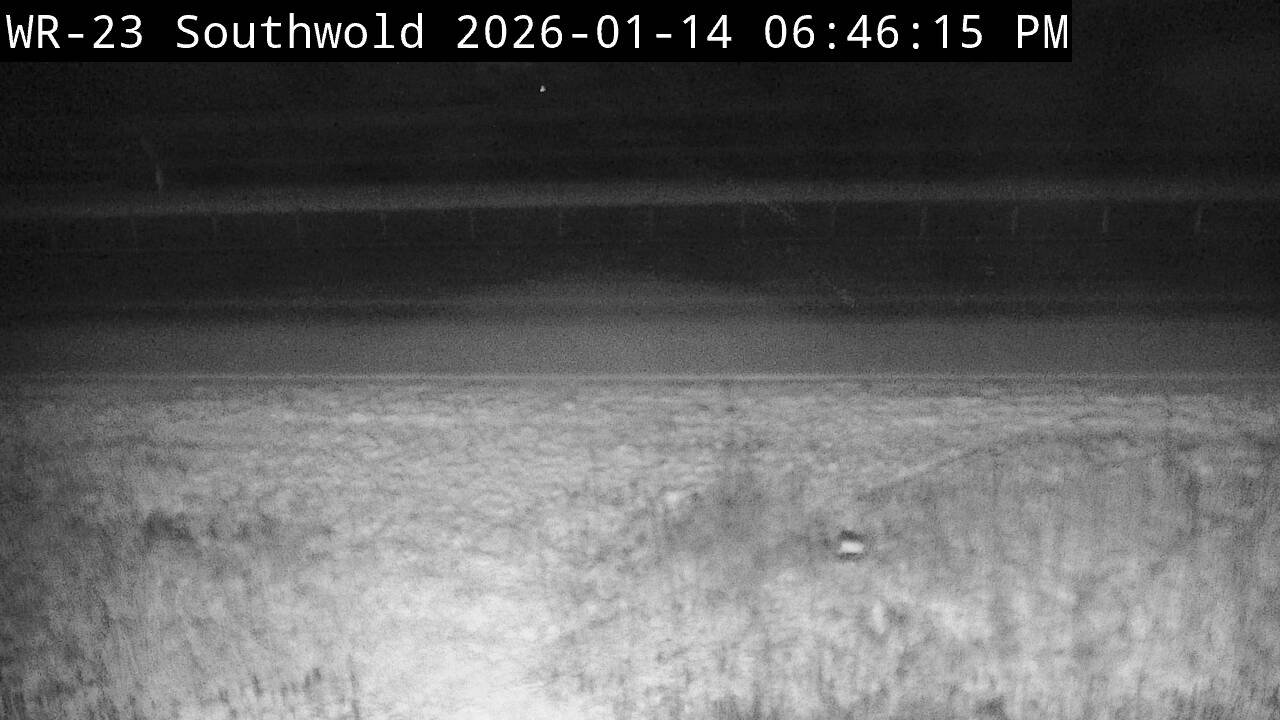 Highway 401 near Regional Road 18