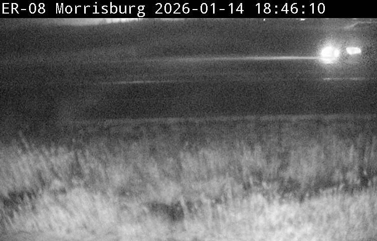 Highway 401 near Regional Road 31