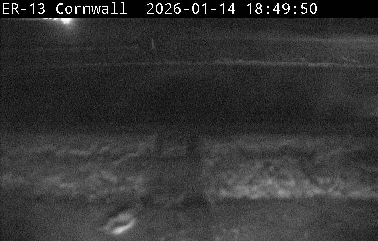 Highway 401 near Highway 138