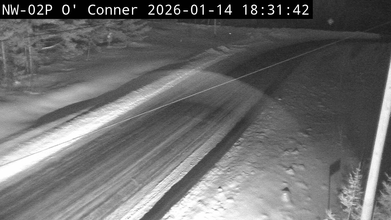 Highway 595 near Neva Road