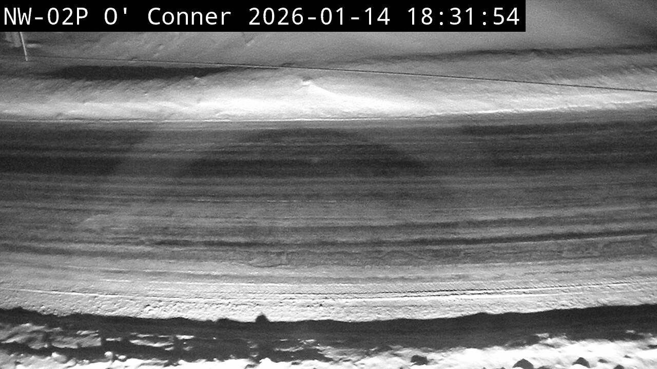 Highway 595 near Neva Road