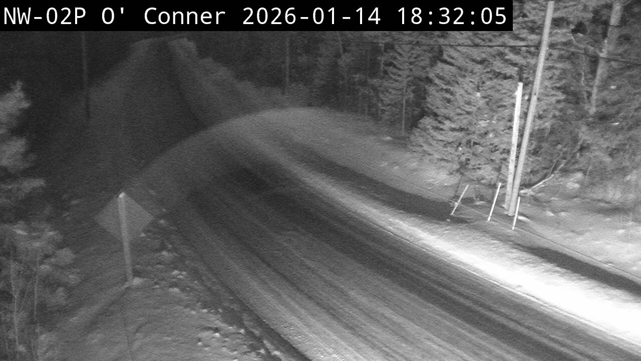 Highway 595 near Neva Road