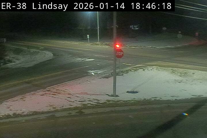 Highway 7 near Elm Tree Road