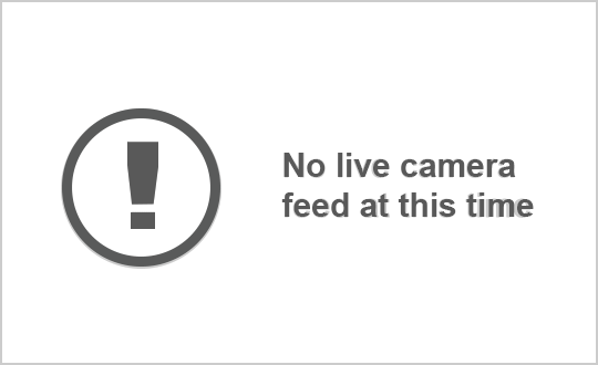 Traffic Cam Highway 6 near Sideroad 3 - North