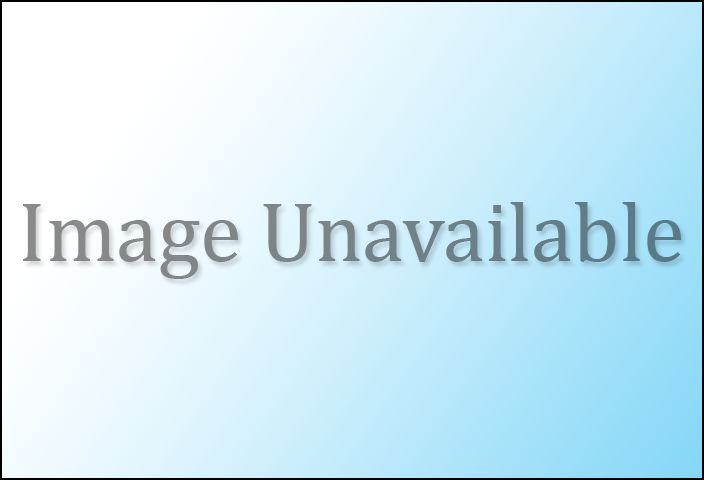 Traffic Cam Lake Shore Blvd W near Remembrance Dr