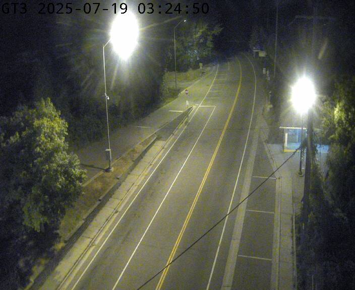 Live Hwy 33 at Ferry Dock (Glenora Side) Live Hwy 33 at Ferry Dock (Glenora Side)