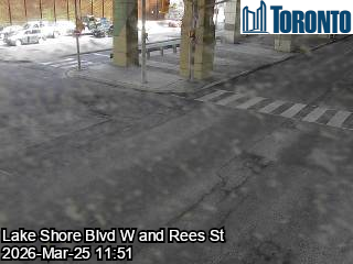 Traffic Cam Lake Shore Blvd W near Rees St