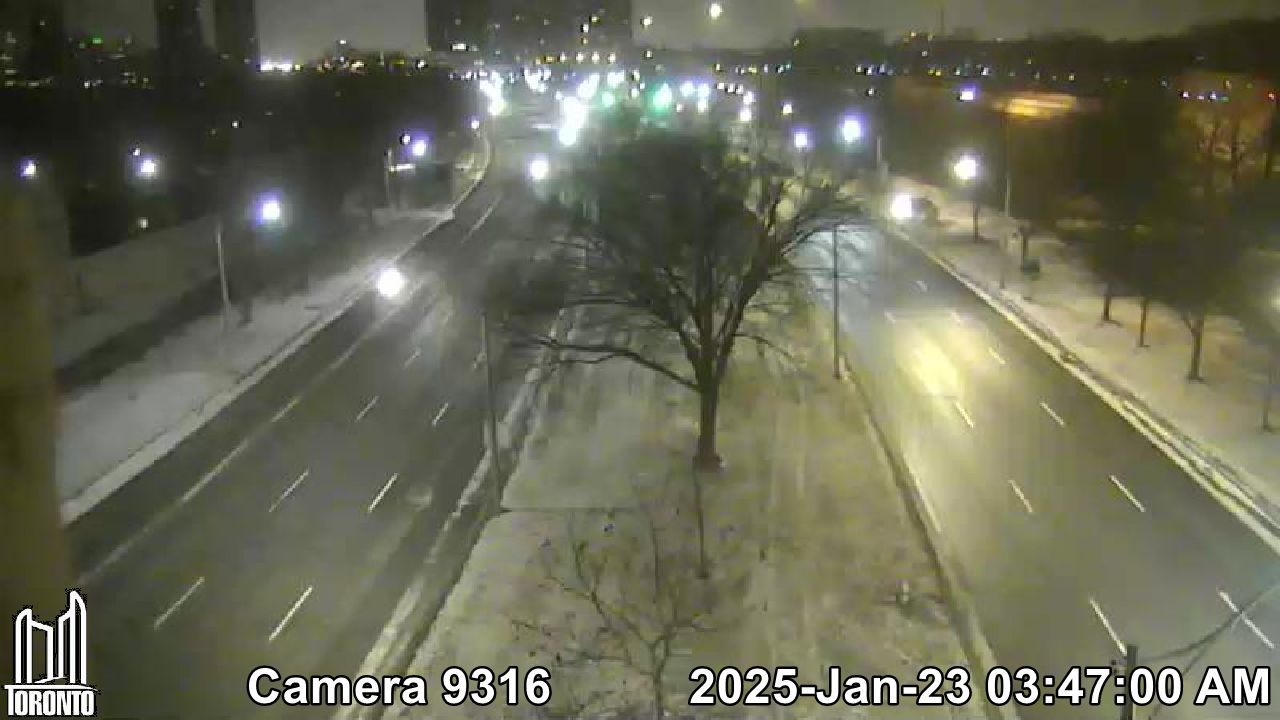 Traffic Cam Lake Shore W east of Colborne Lodge Dr